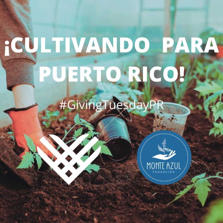 ¡Cultivando para Puerto Rico! Giving Tuesday Puerto Rico