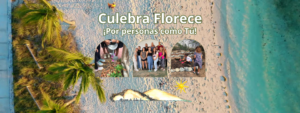 Culebra Florece