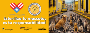 Esteriliza tu mascota, es tu responsabilidad