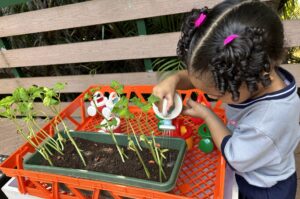 Siembra hoy, cosecha mañana: a beneficio del Programa del Huerto de la Escuela Montessori San Cristóbal